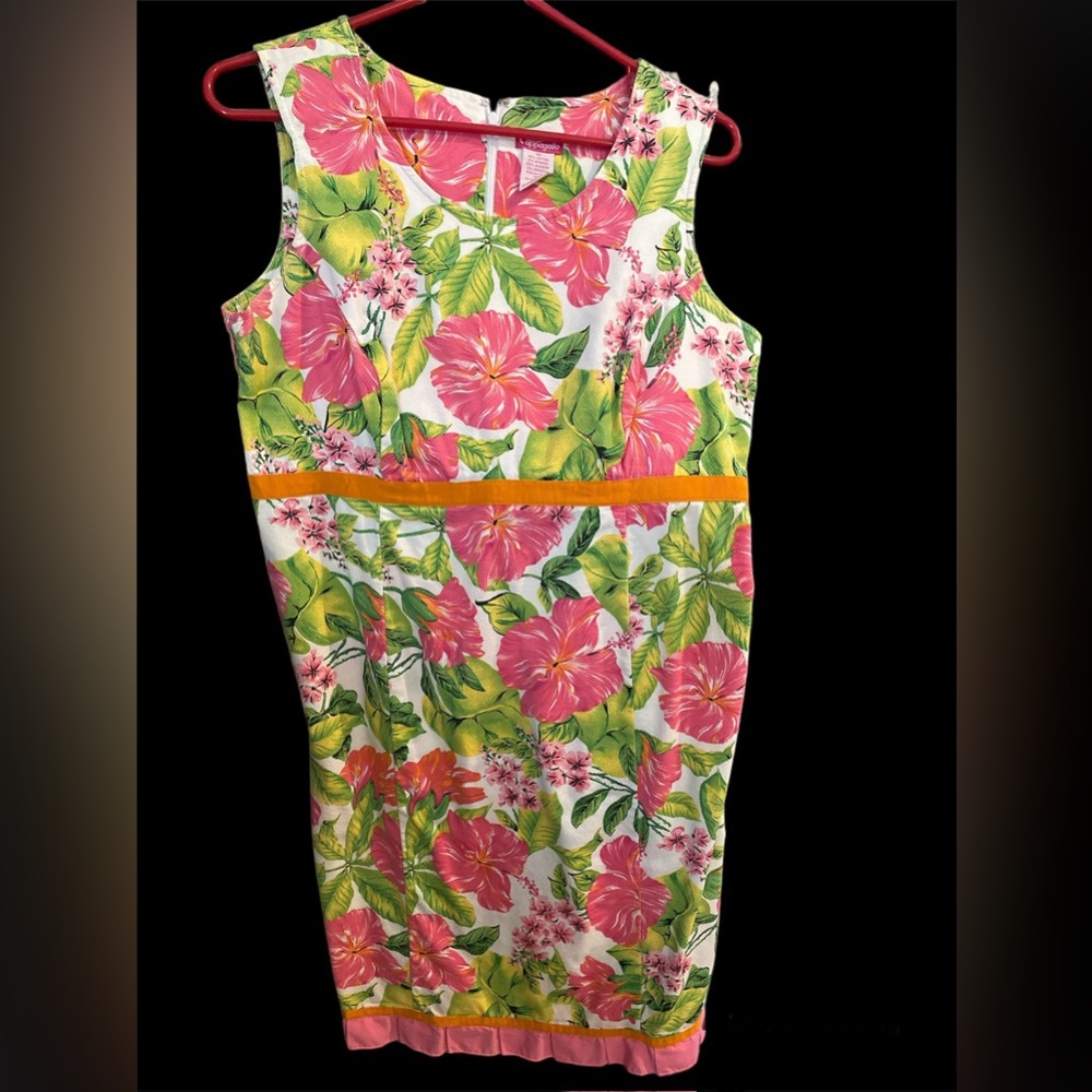 Pappagallo Dress Size 10